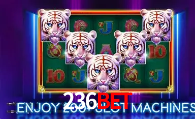 236bet